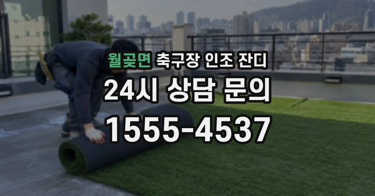 월곶면 축구장 인조 잔디