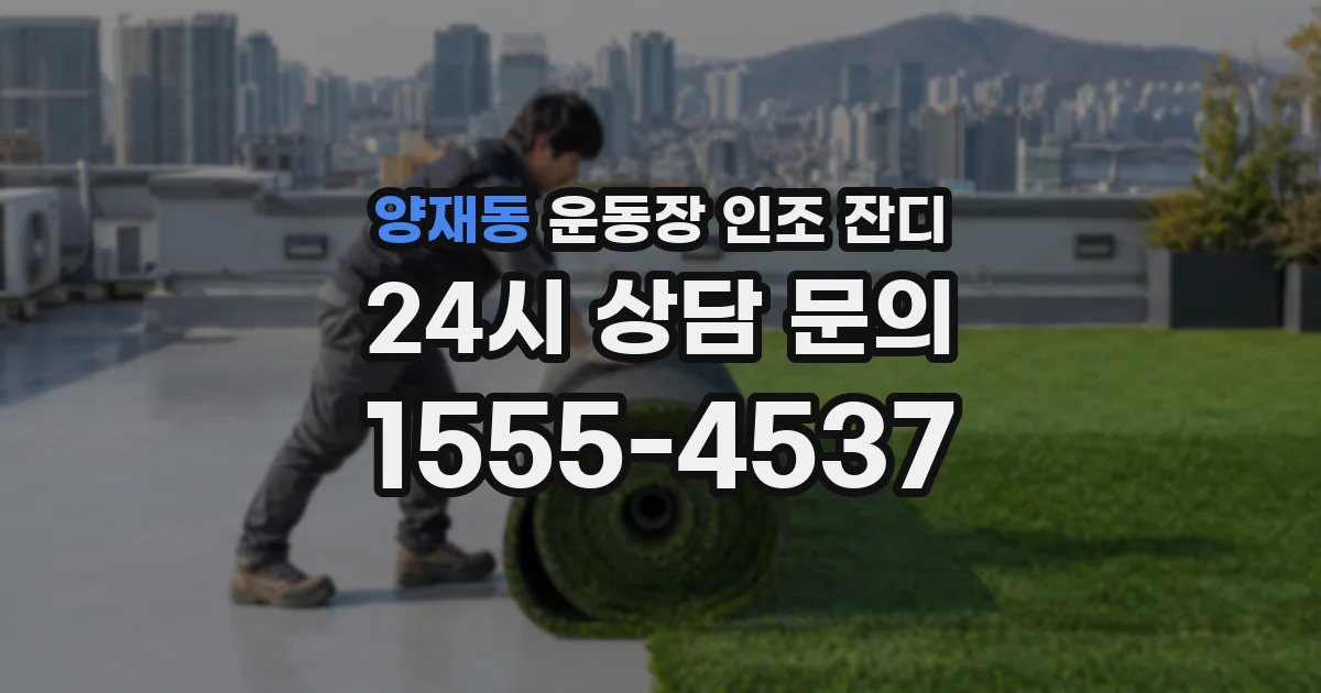 양재동 운동장 인조 잔디