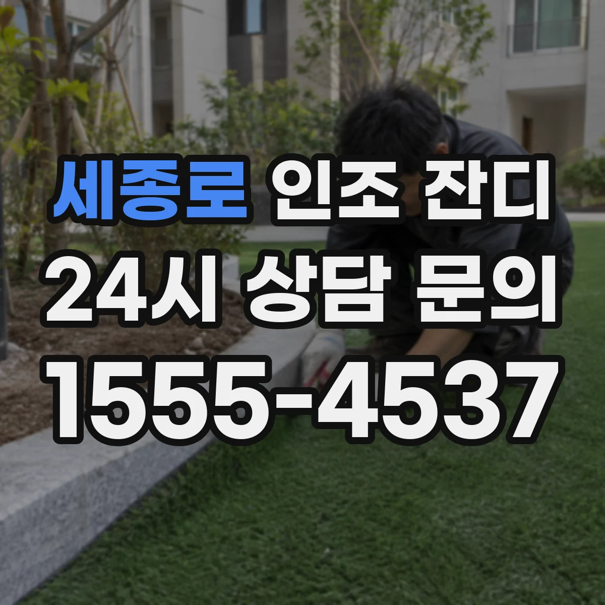 세종로 인조 잔디