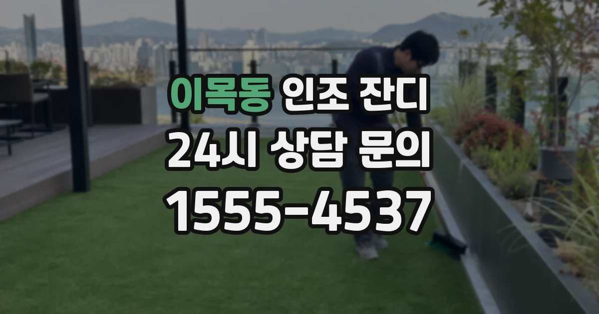 이목동 인조 잔디