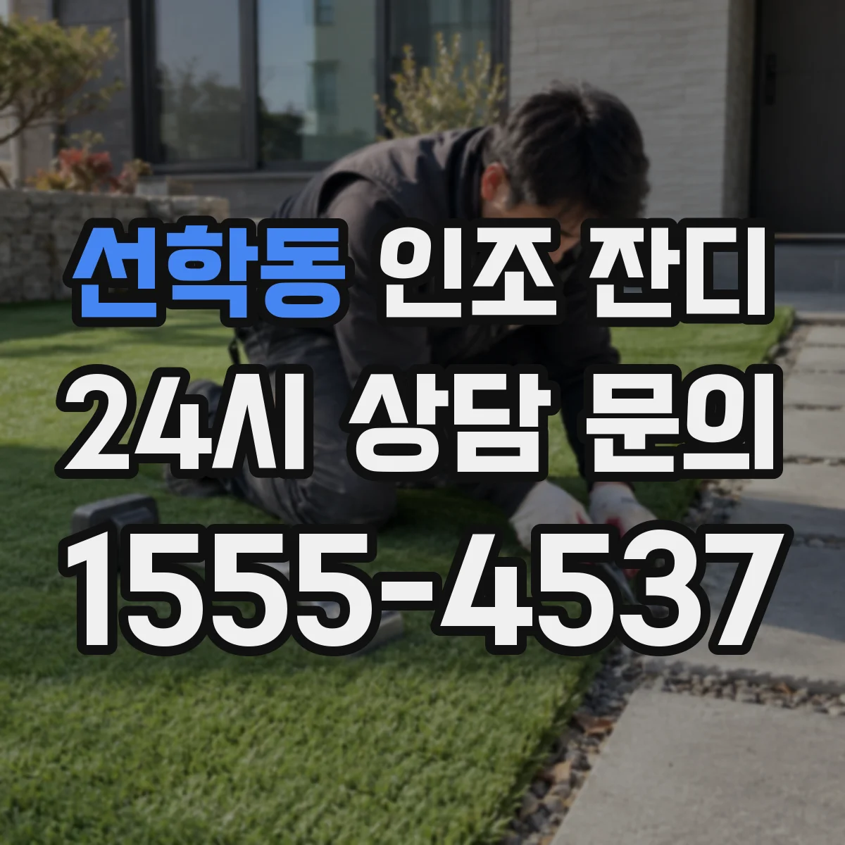선학동 인조 잔디