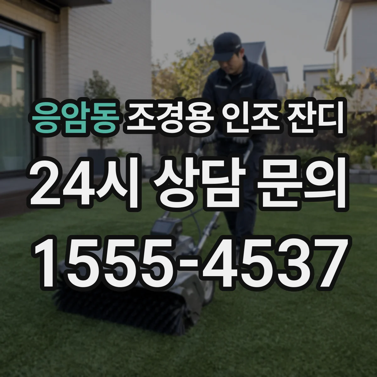 응암동 조경용 인조 잔디
