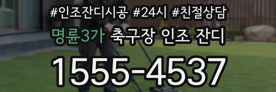 명륜3가 축구장 인조 잔디