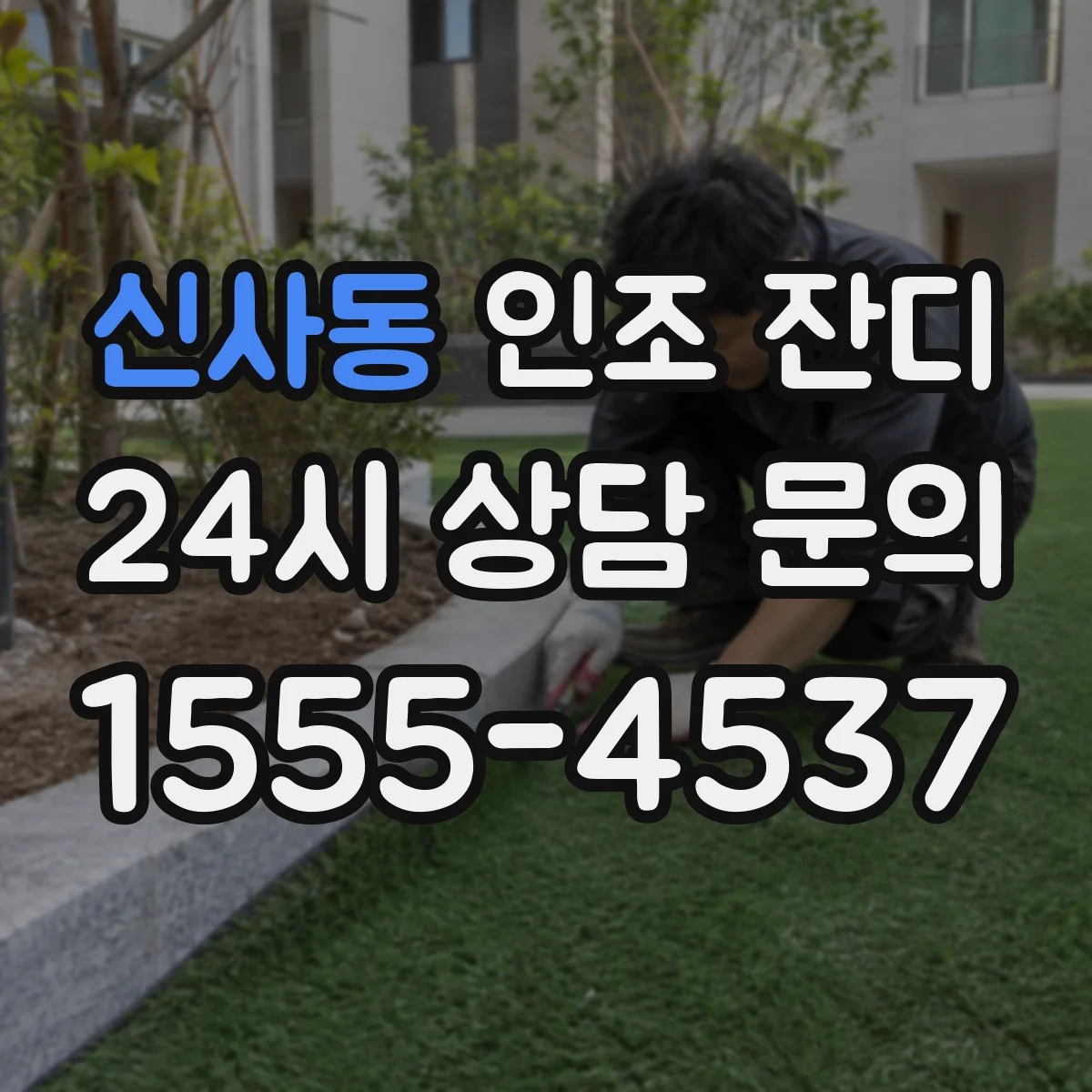 신사동 인조 잔디
