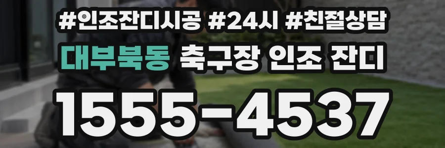 대부북동 축구장 인조 잔디