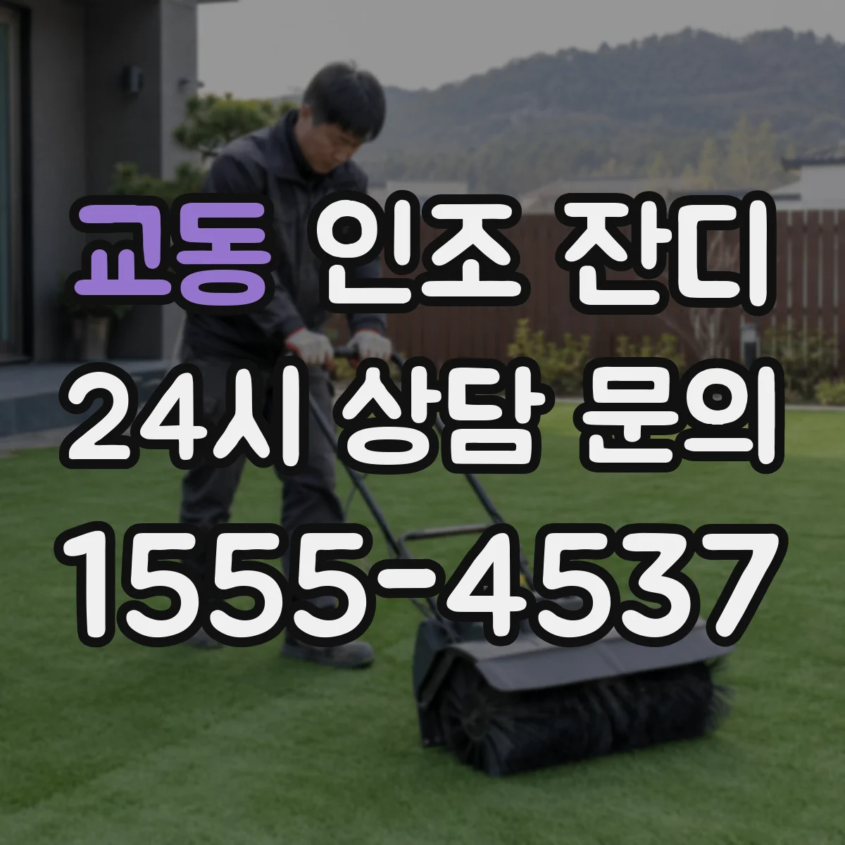교동 인조 잔디