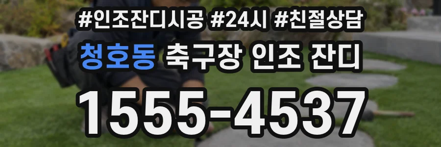 청호동 축구장 인조 잔디