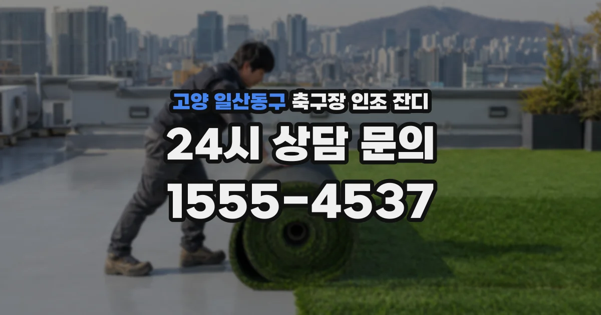 고양 일산동구 축구장 인조 잔디