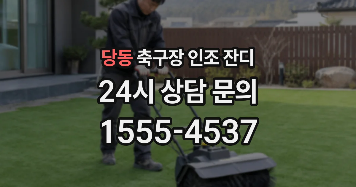 당동 축구장 인조 잔디