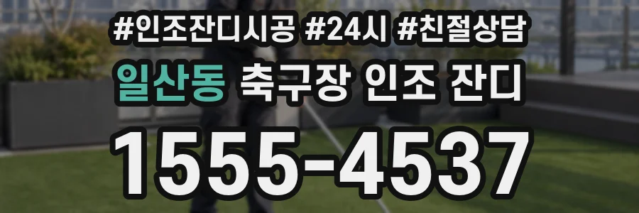일산동 축구장 인조 잔디