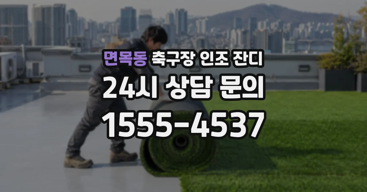 면목동 축구장 인조 잔디
