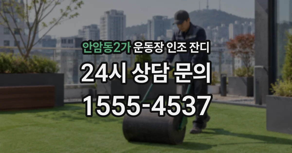 안암동2가 운동장 인조 잔디