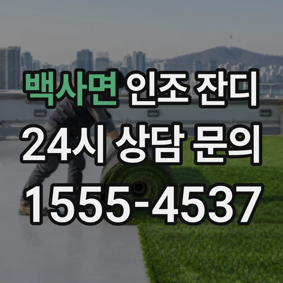 백사면 인조 잔디