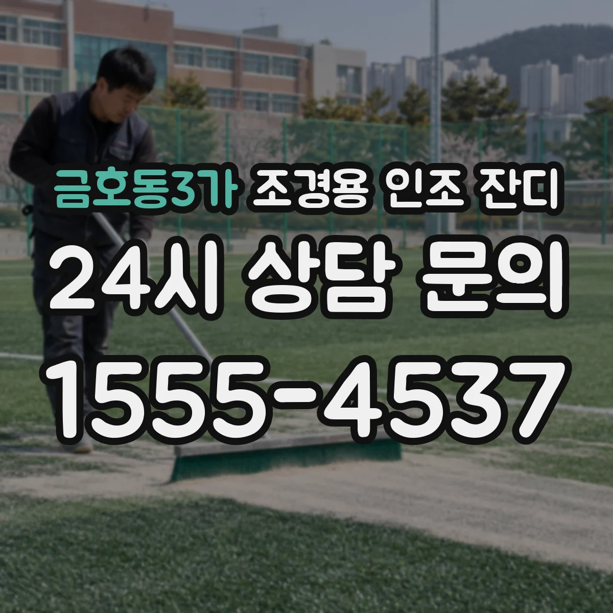 금호동3가 조경용 인조 잔디
