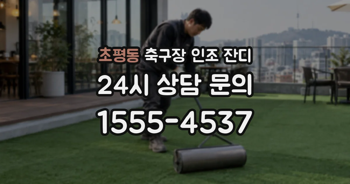 초평동 축구장 인조 잔디