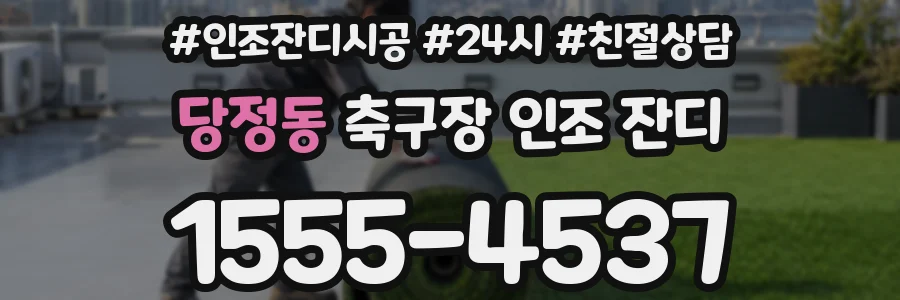당정동 축구장 인조 잔디