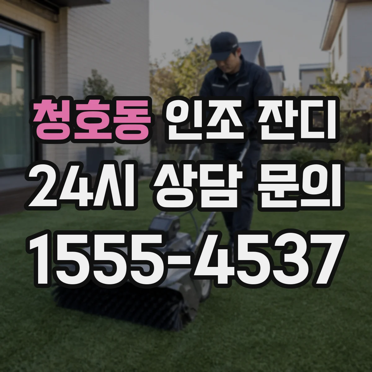 청호동 인조 잔디