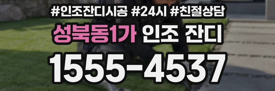 성북동1가 인조 잔디