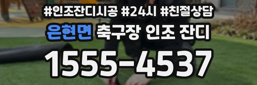 은현면 축구장 인조 잔디