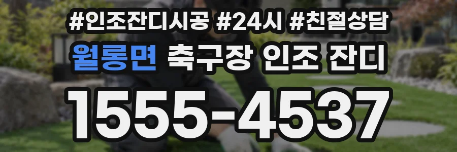 월롱면 축구장 인조 잔디