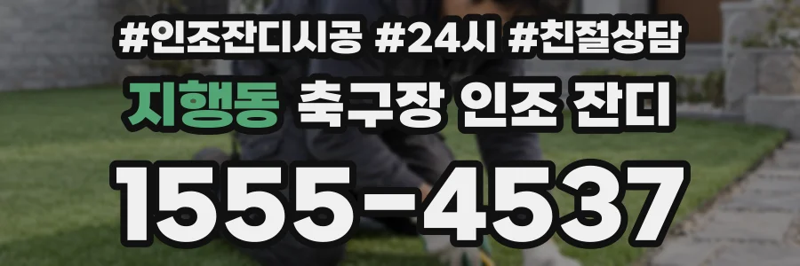 지행동 축구장 인조 잔디