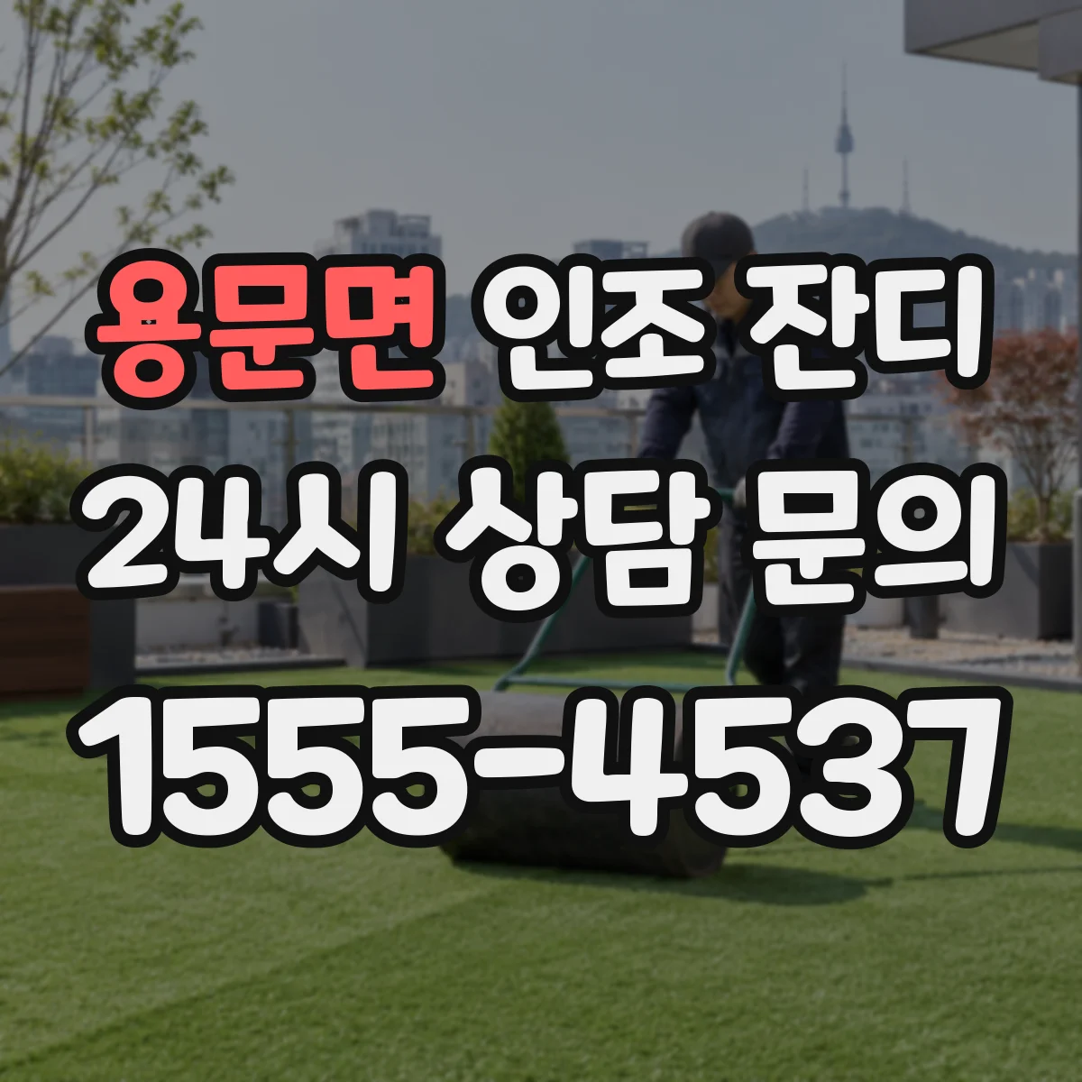 용문면 인조 잔디