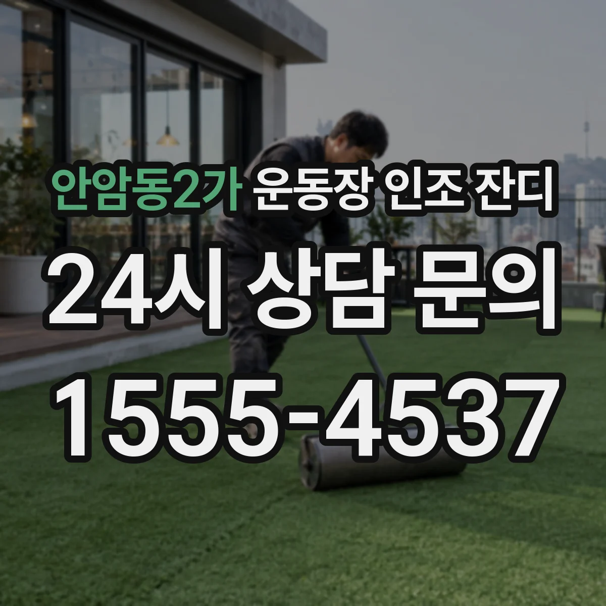안암동2가 운동장 인조 잔디