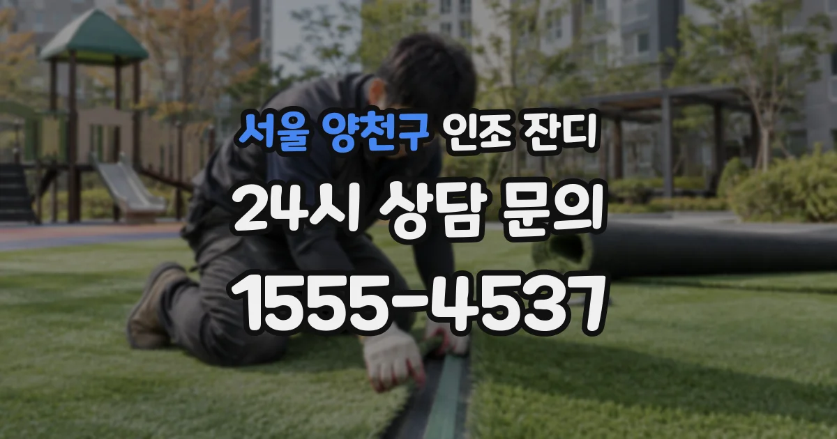 서울 양천구 인조 잔디