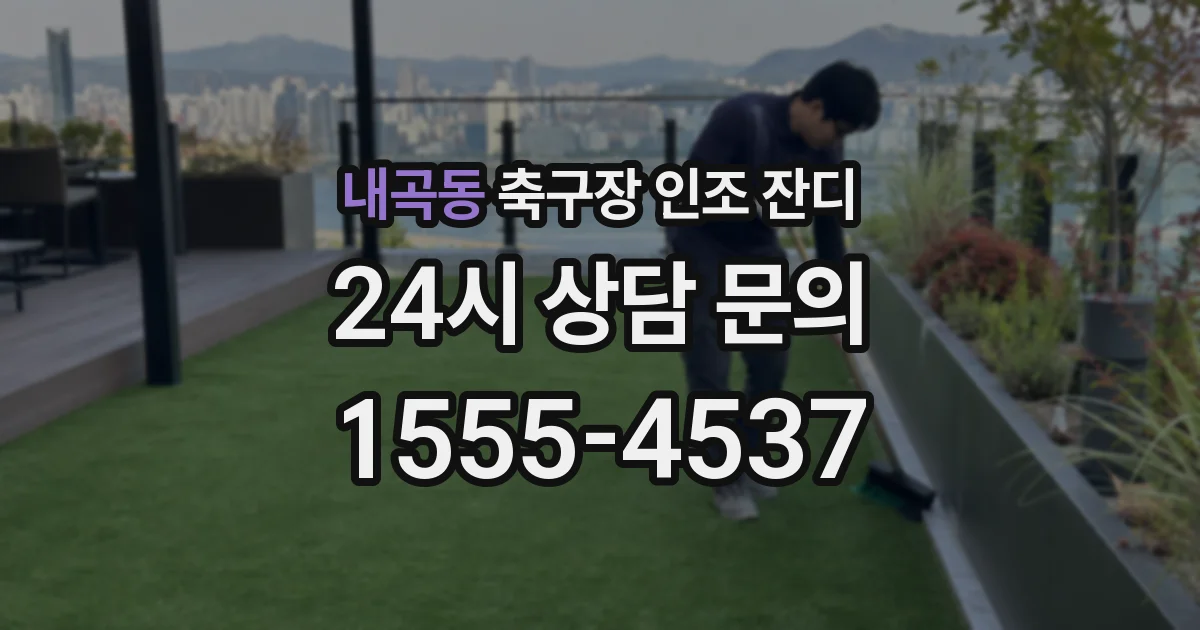 내곡동 축구장 인조 잔디