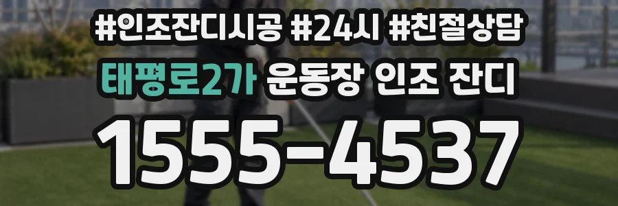 태평로2가 운동장 인조 잔디