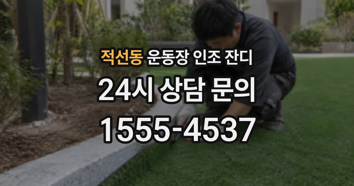 적선동 운동장 인조 잔디
