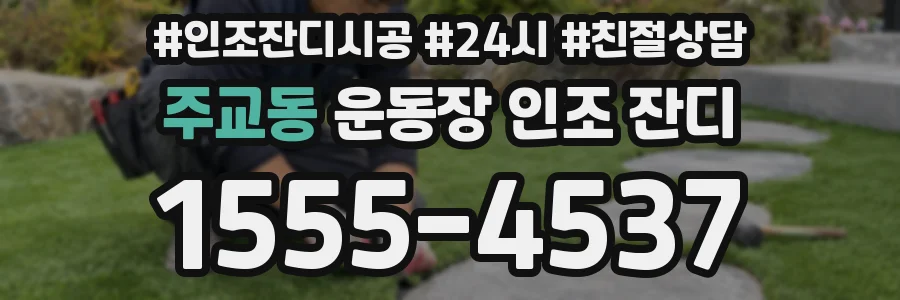 주교동 운동장 인조 잔디