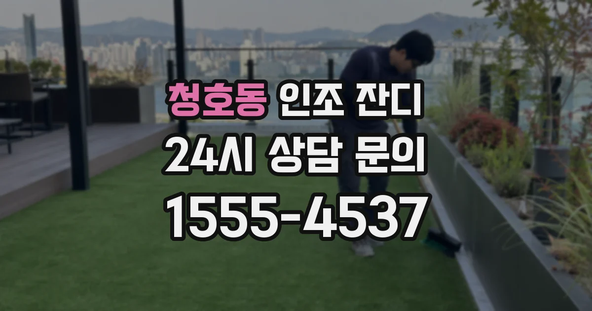 청호동 인조 잔디