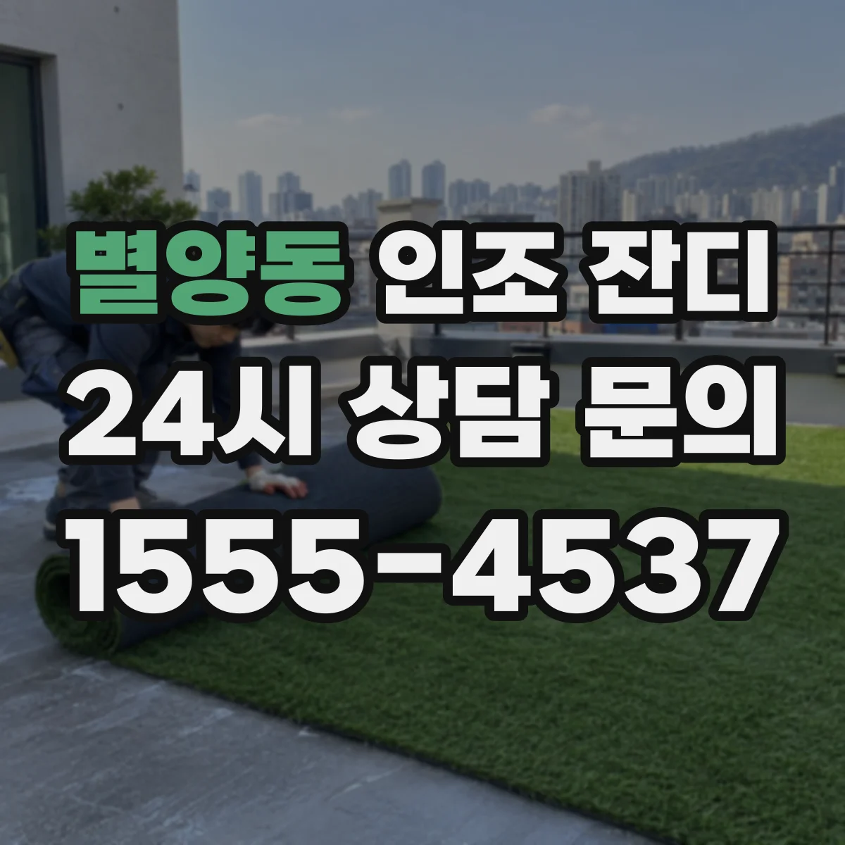별양동 인조 잔디