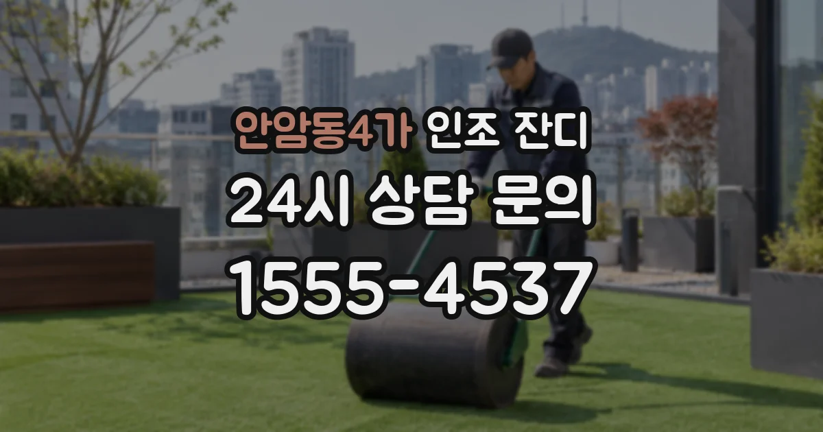 안암동4가 인조 잔디