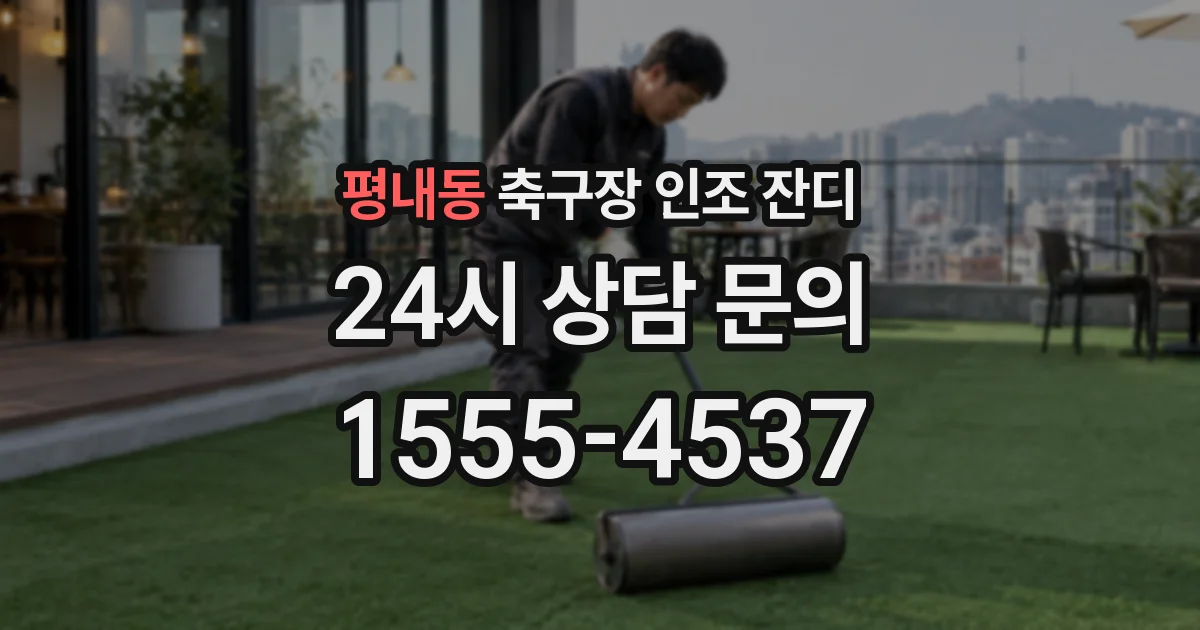 평내동 축구장 인조 잔디