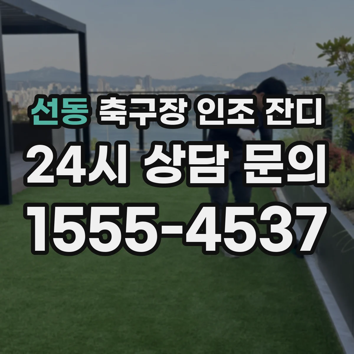 선동 축구장 인조 잔디