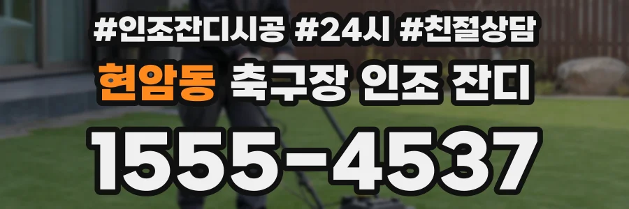 현암동 축구장 인조 잔디