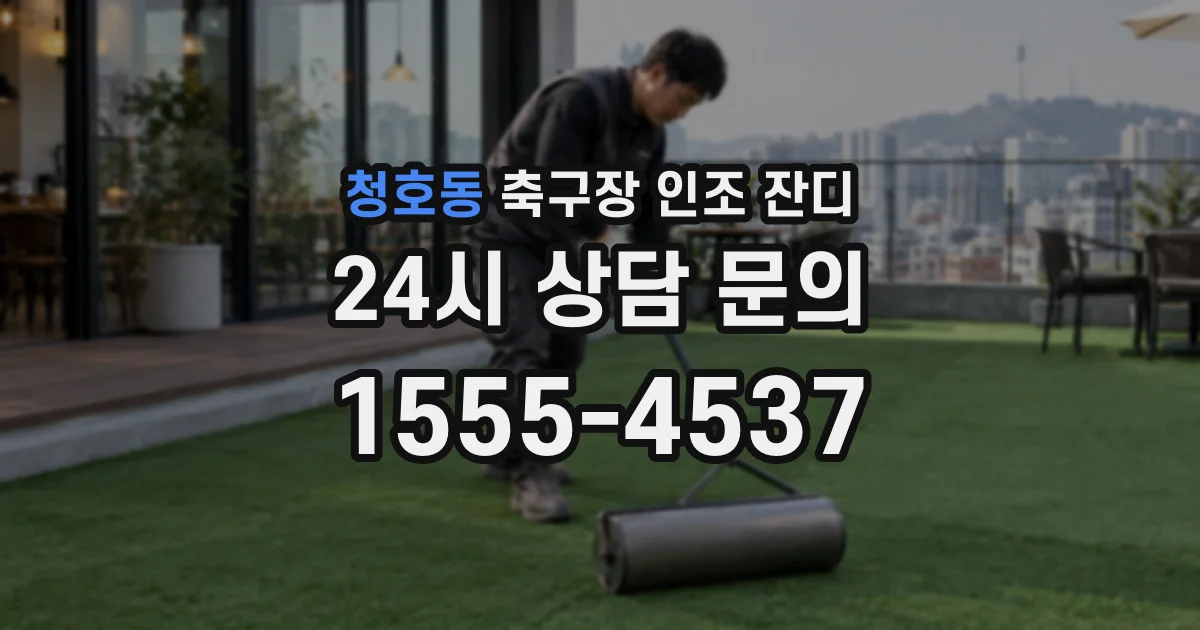 청호동 축구장 인조 잔디