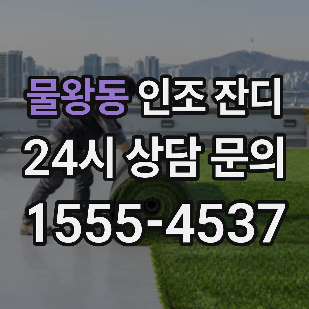 물왕동 인조 잔디