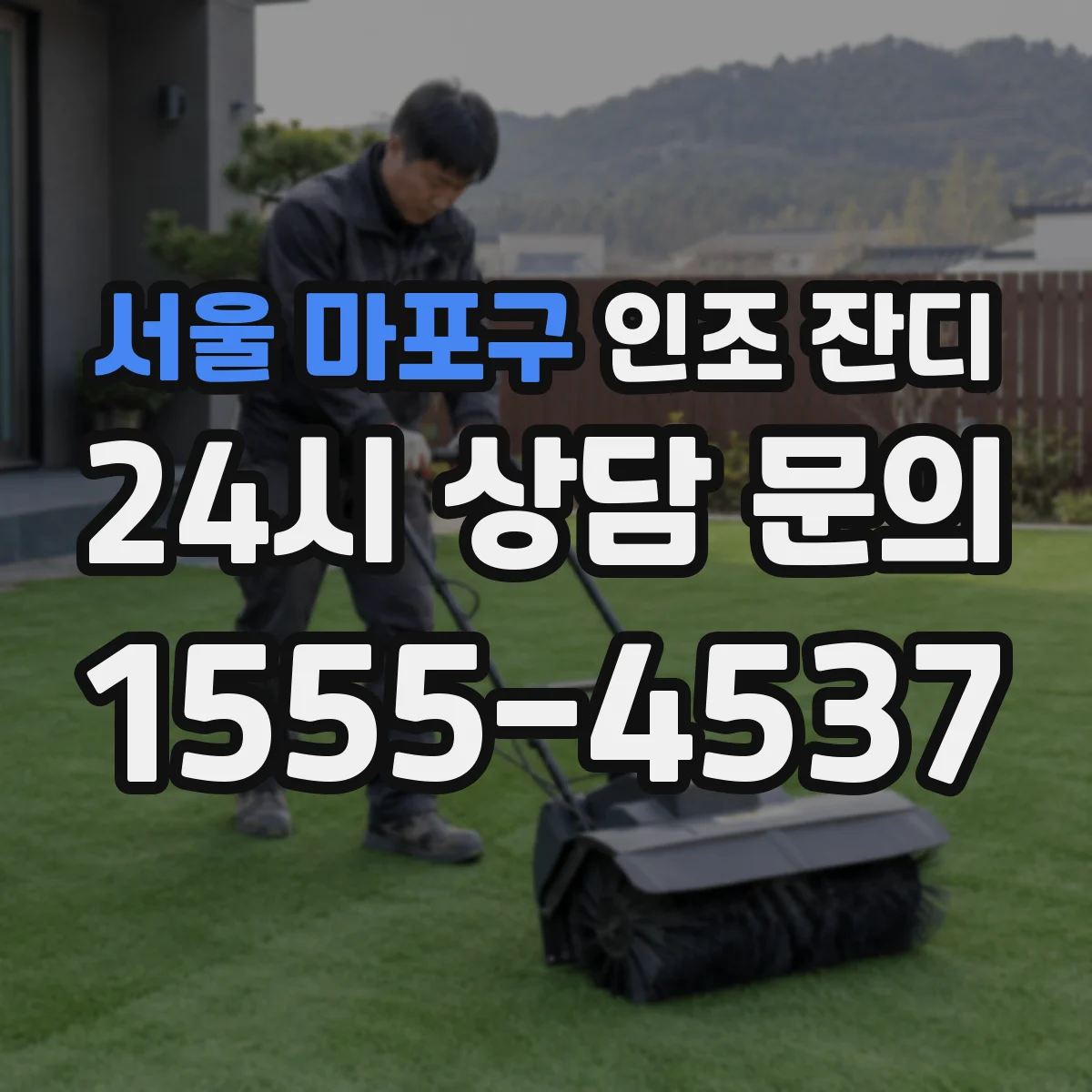 서울 마포구 인조 잔디