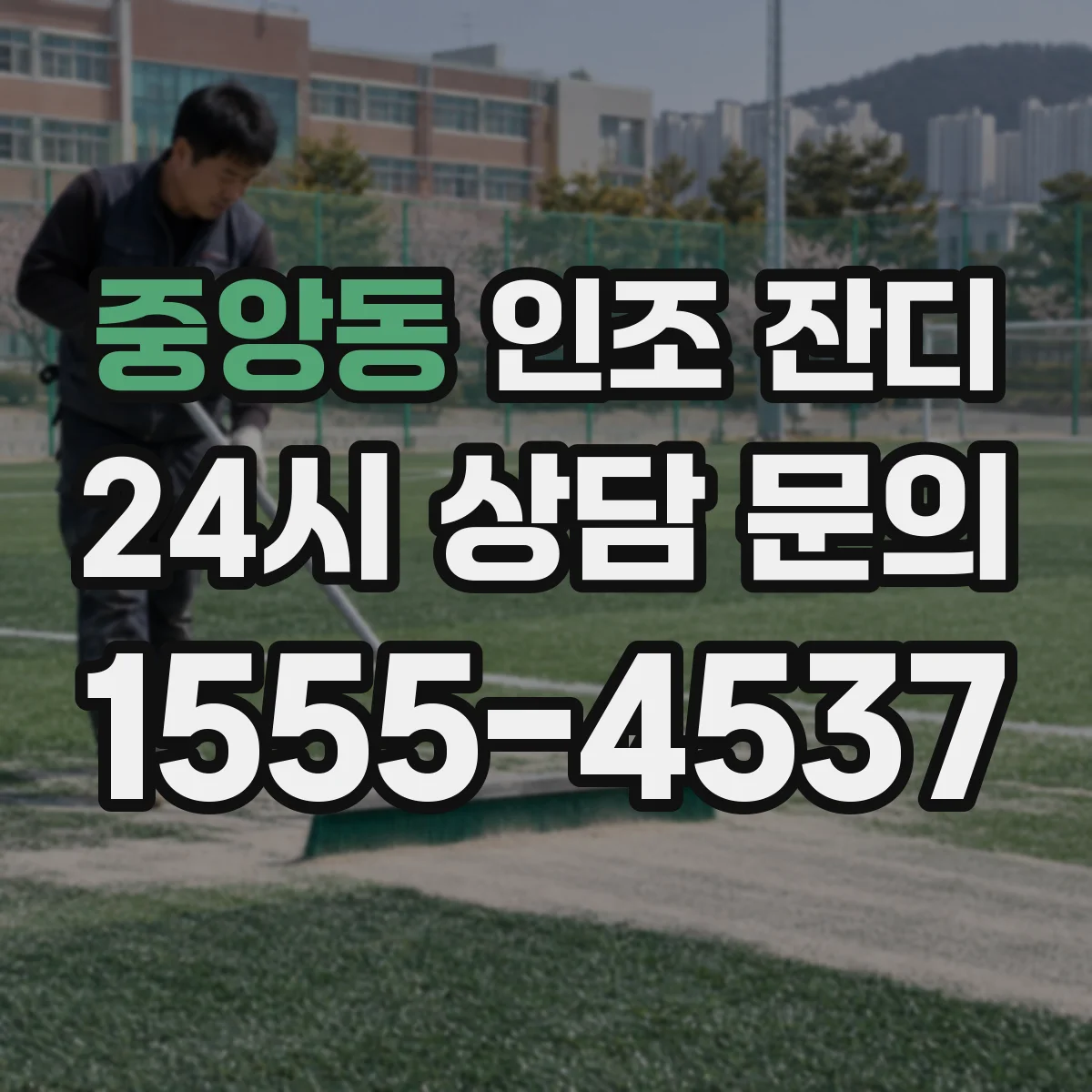 중앙동 인조 잔디