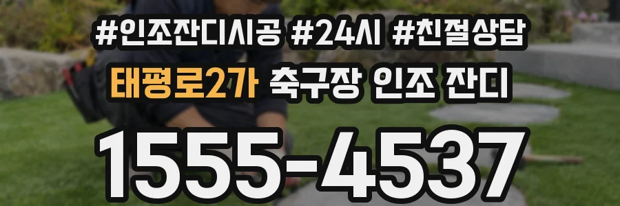 태평로2가 축구장 인조 잔디
