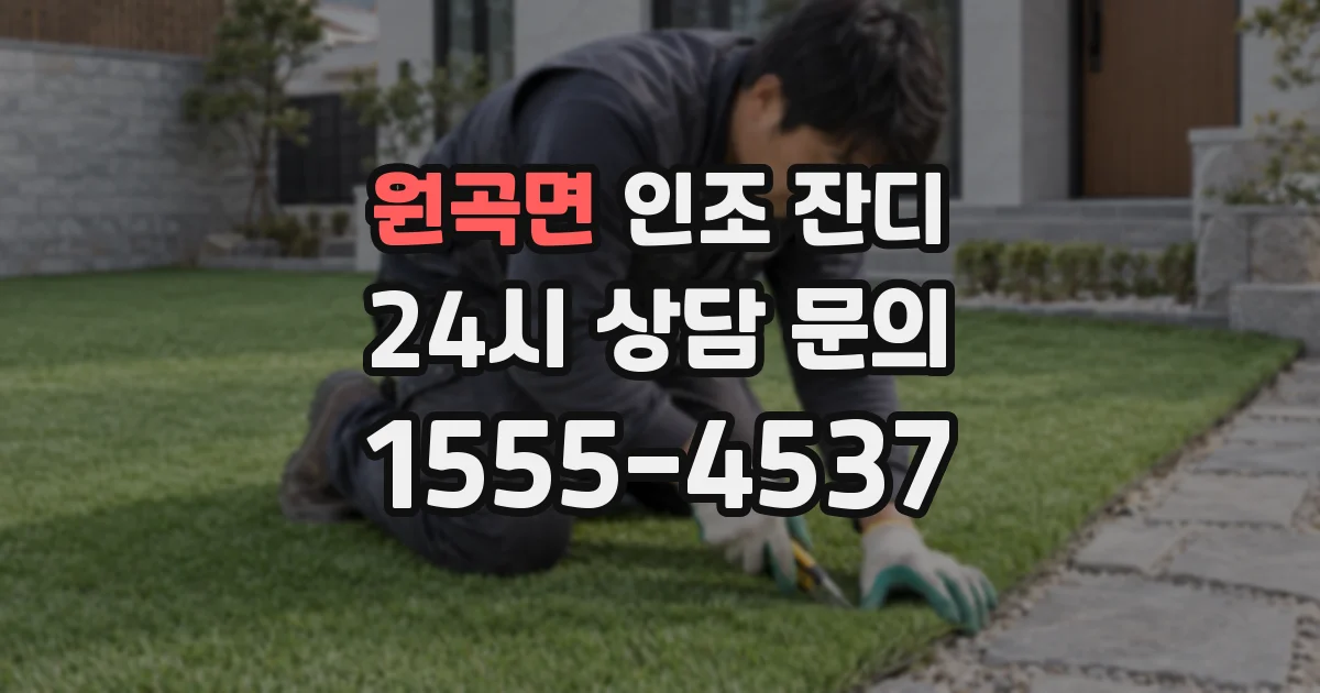 원곡면 인조 잔디