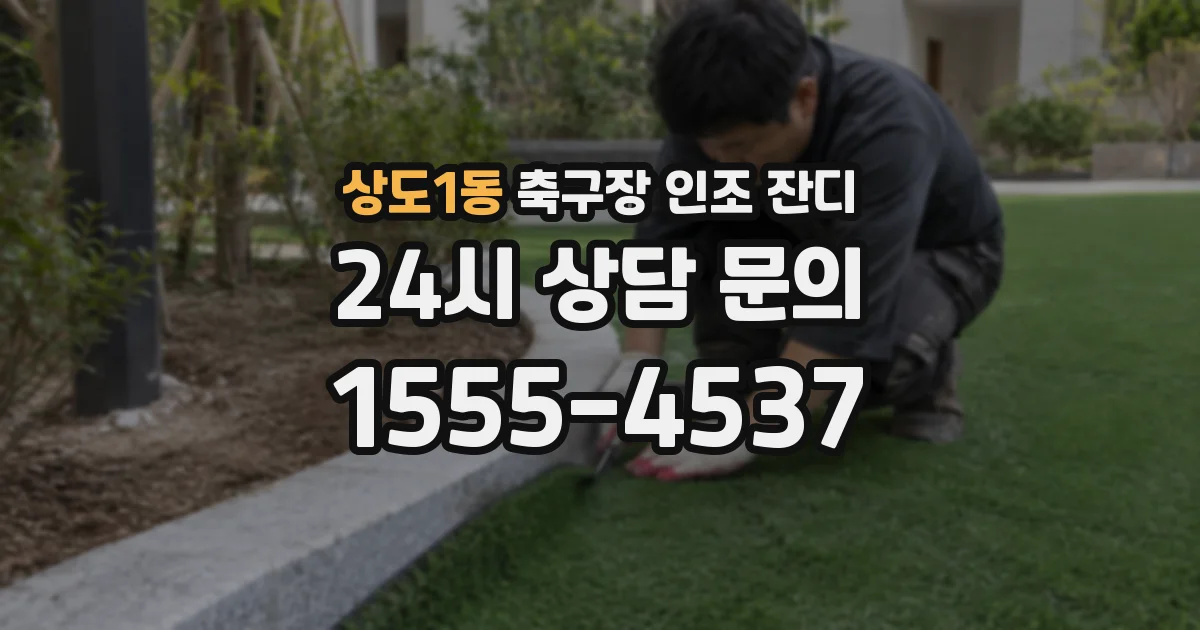 상도1동 축구장 인조 잔디