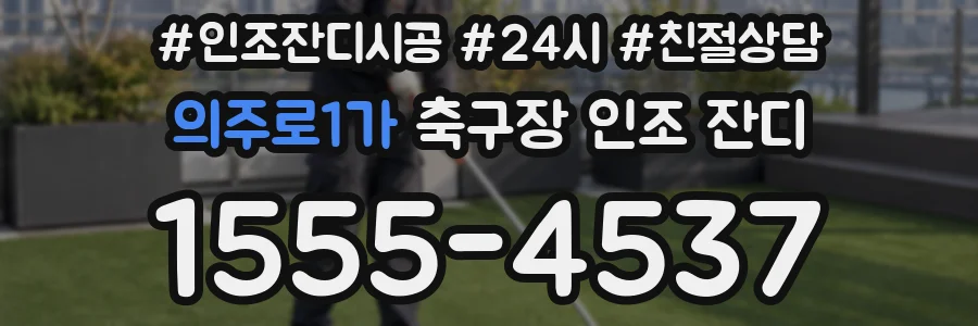 의주로1가 축구장 인조 잔디