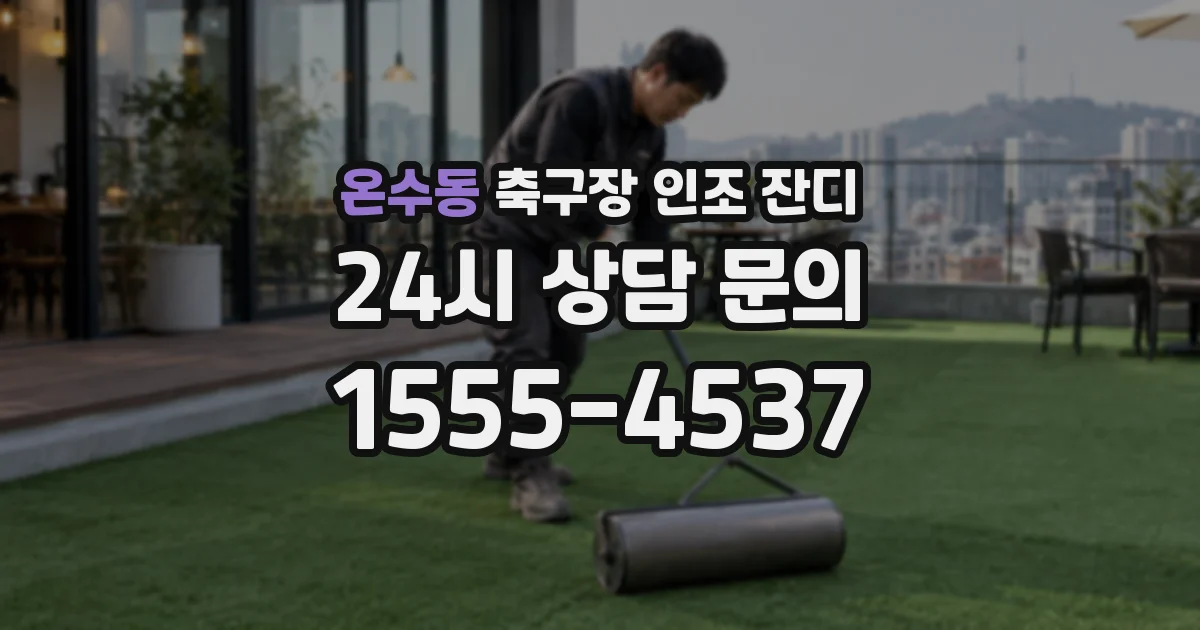 온수동 축구장 인조 잔디