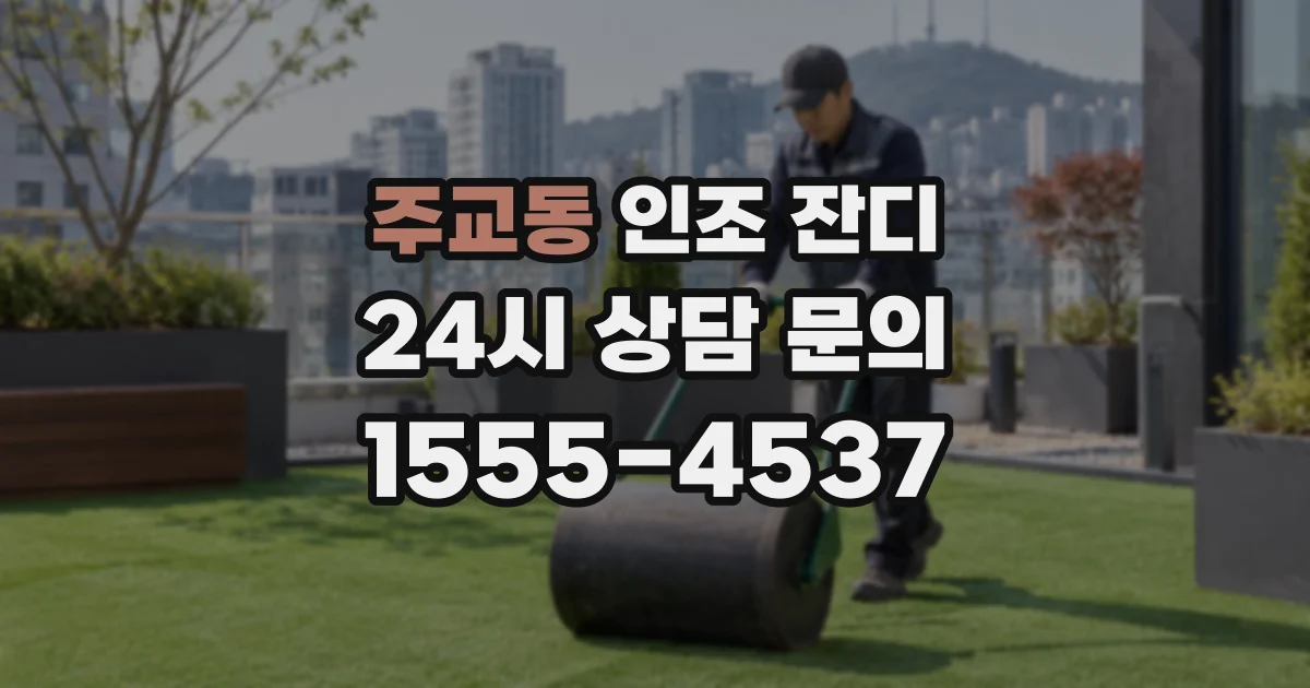 주교동 인조 잔디