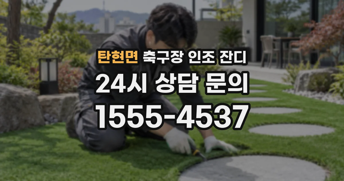 탄현면 축구장 인조 잔디
