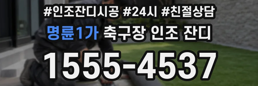 명륜1가 축구장 인조 잔디